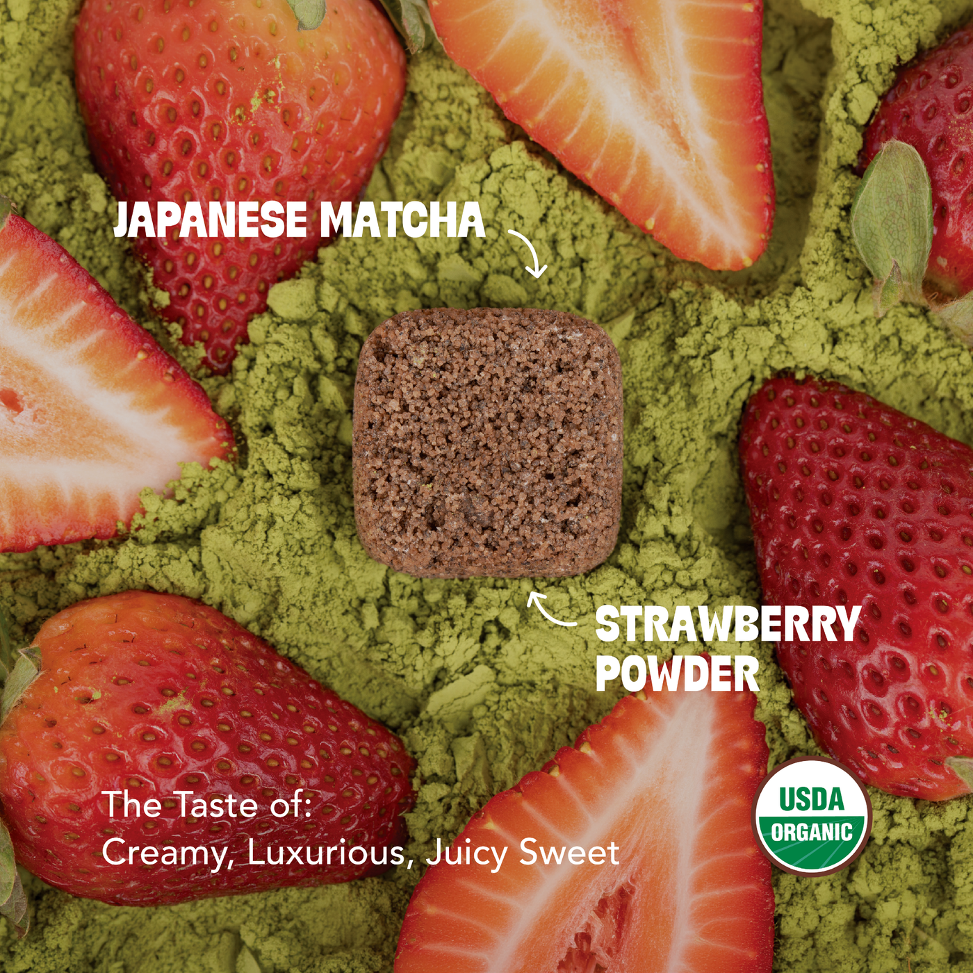 Strawberry Matcha Latte Kit